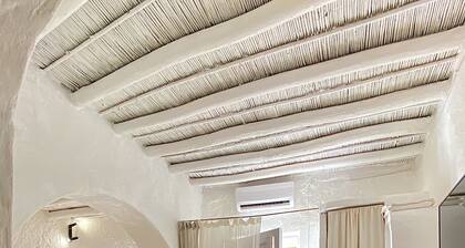 Renovated house in the historic center