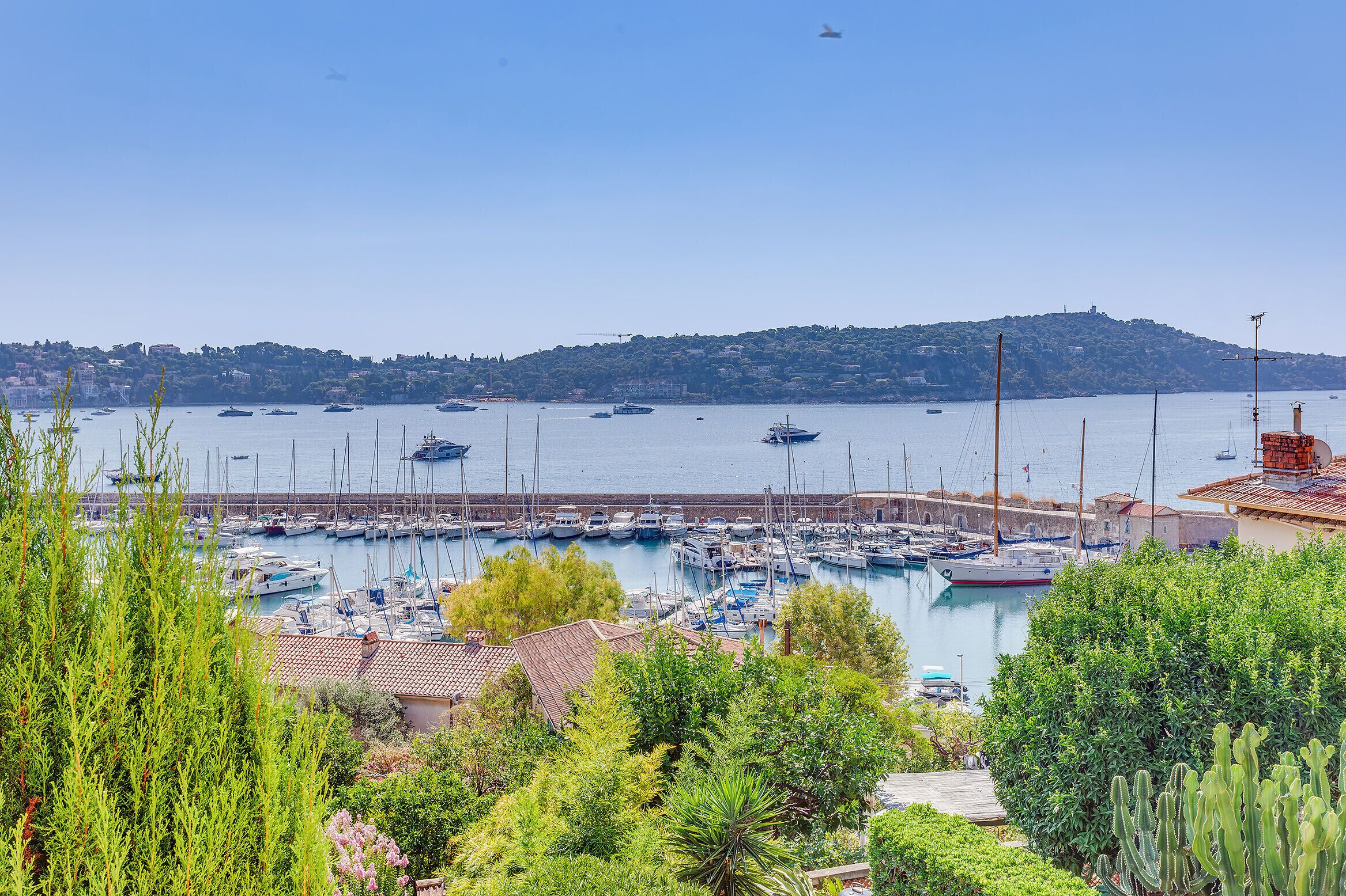 A marina with boats docked, surrounded by greenery and buildings.