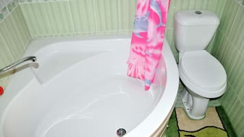 Combined shower/bathtub, jetted bath, hair dryer, bidet