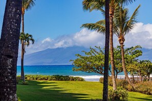 A tropical landscape with a clear view of the ocean, palm trees, and a mountain in the background.