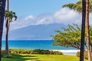 Un paysage tropical offrant une vue dégagée sur l’océan, avec des palmiers et une montagne en arrière-plan.