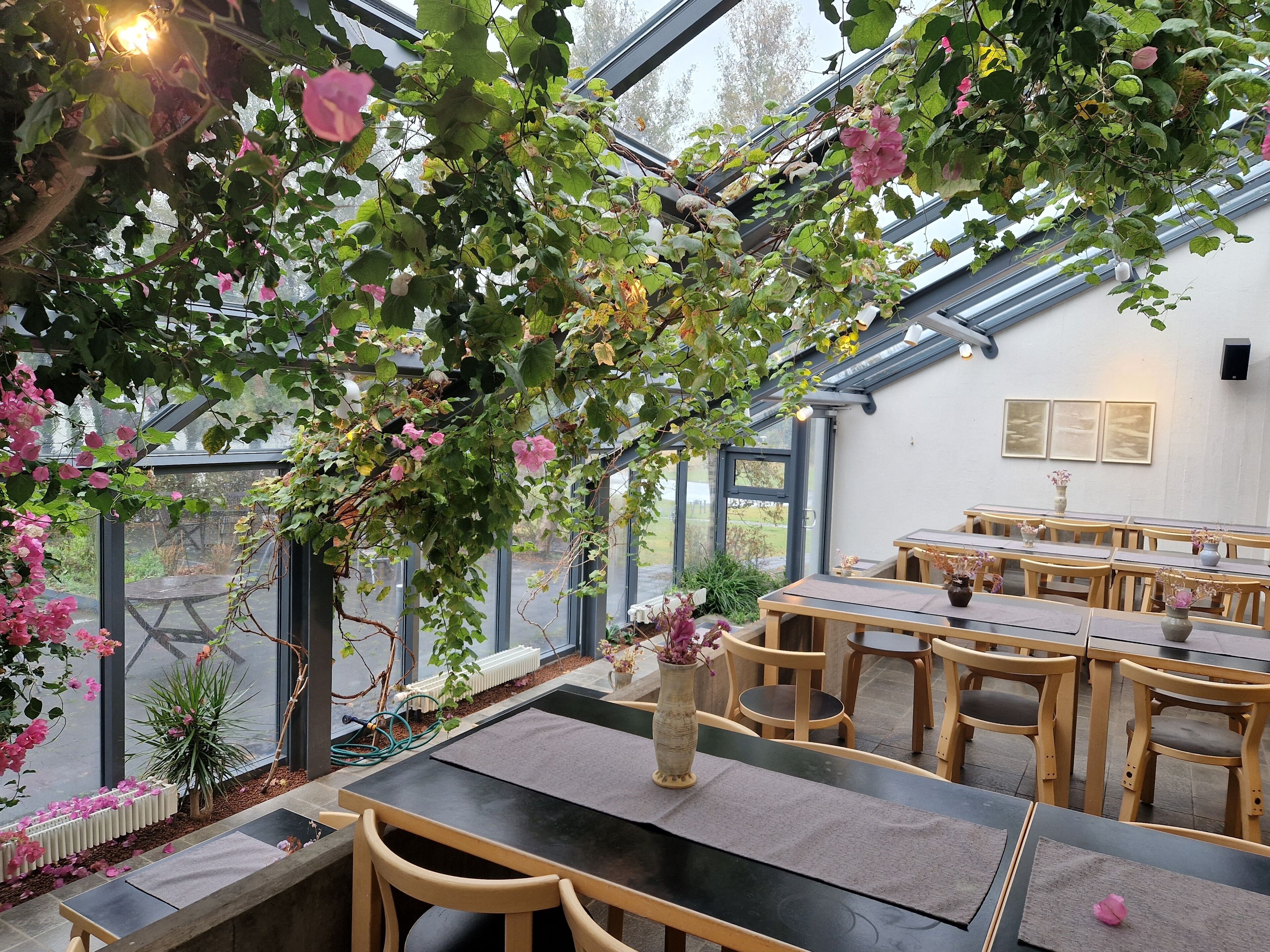 아침 식사, 점심 식사, 저녁 식사 제공, 현지 및 세계 요리, 정원 전망