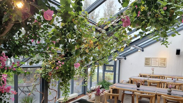 An indoor dining area with tables and chairs, a greenhouse with climbing plants and flowers, and a view through large windows. - Hótel Skálholt (Bláskógabyggd)
