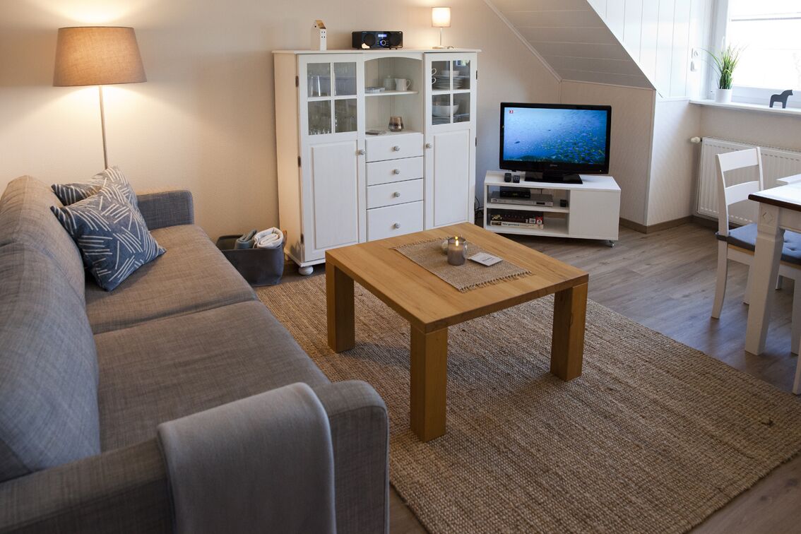 Smart TV, DVD player, books, video library