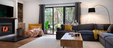 TV, fireplace