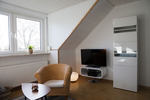 Älytelevisio, DVD-soitin, kirjoja, stereot