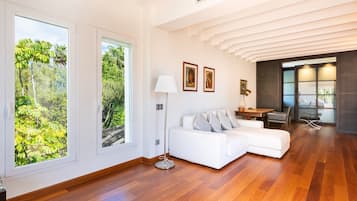 Télévision, cheminée, chaîne hi-fi