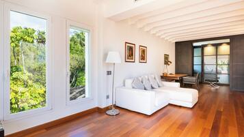 Televisie, een open haard en een stereo