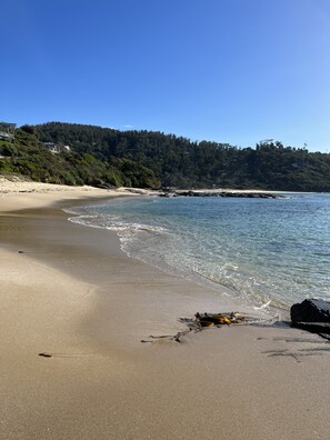 Beach - The Treehouse. Bright Beach House Overlooking the Ocean. 2min Walk to the Beach! (Wye River)
