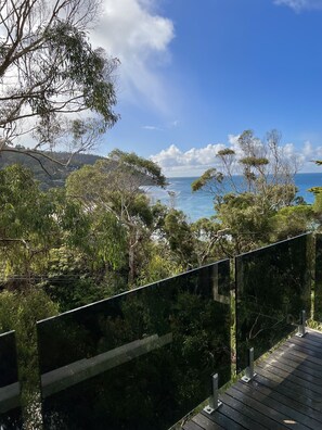 Vista costera con una terraza de madera que da al mar, rodeada de abundante vegetación y árboles.