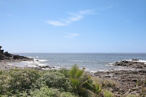 A rocky coastline with sparse vegetation and a clear sky.