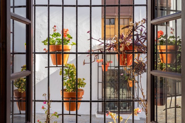 A window with multiple potted plants arranged in a grid pattern.