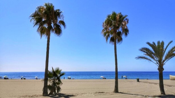 Ein Strand mit Palmen und blauem Himmel.