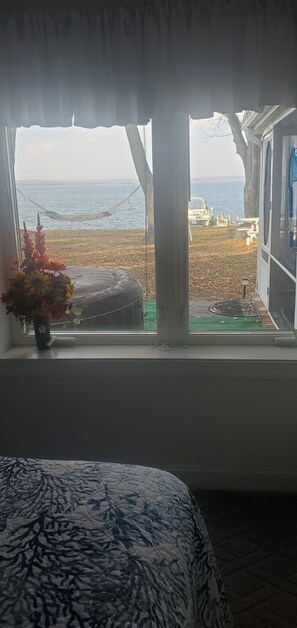 A room with a large window overlooking a beach, a hammock, and a potted plant. - Waterfront Beauty on the Bay (Montross)