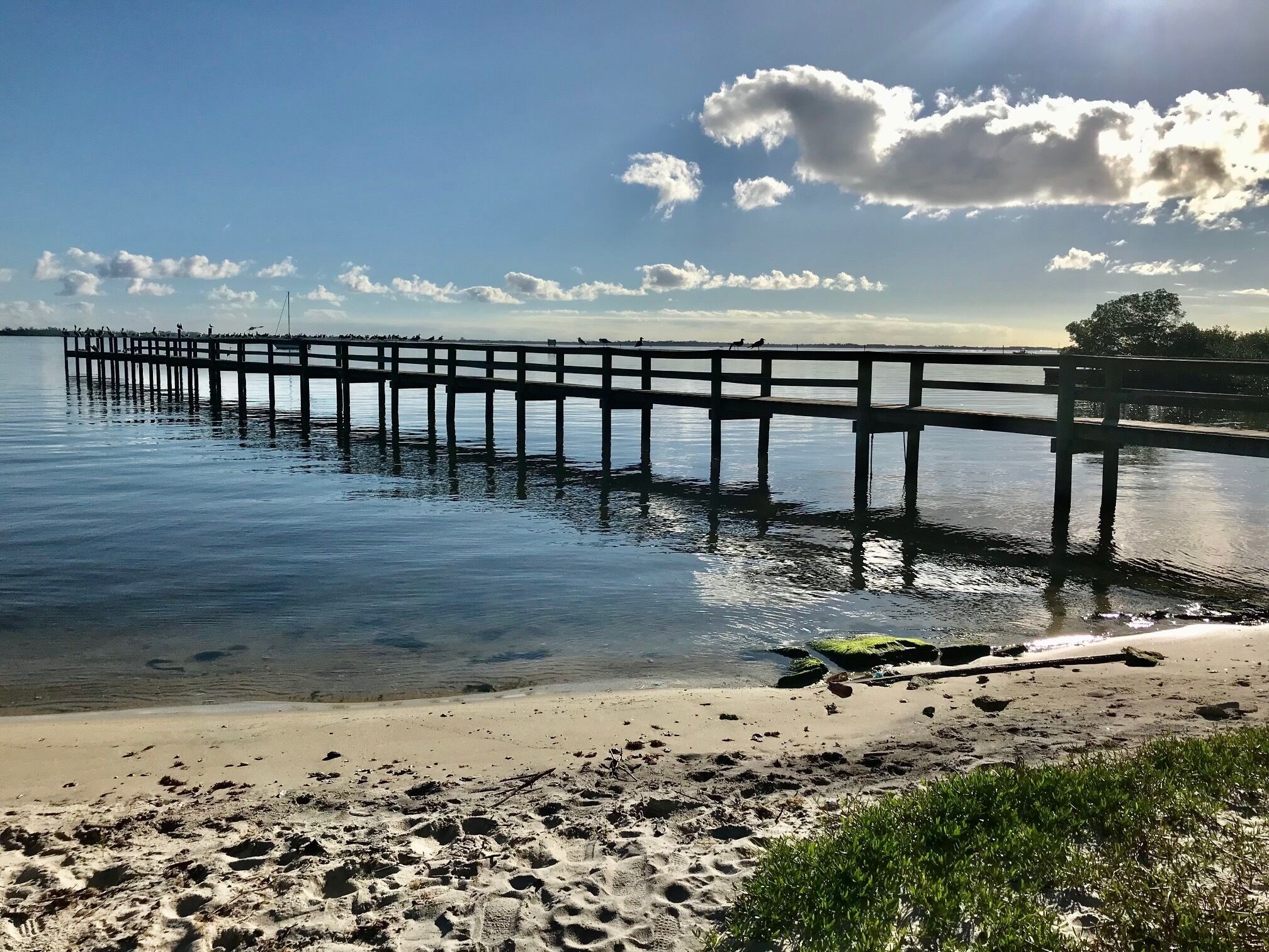 Cottage Across from the Indian River, Close to Downtown