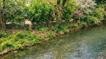 Un río cristalino con un sendero de piedra a su lado, rodeado de abundante vegetación y árboles.