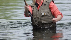 A person standing in water, holding a fishing rod. - 3A - Comfortable Wooded Setting (Branson)