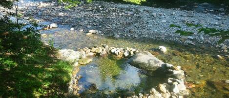 Un arroyo natural con agua cristalina, rodeado de rocas y vegetación.