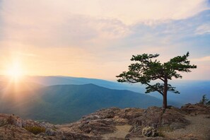 Un paysage rocheux avec un seul arbre et, au loin, une chaîne de montagnes sous un ciel dégagé.