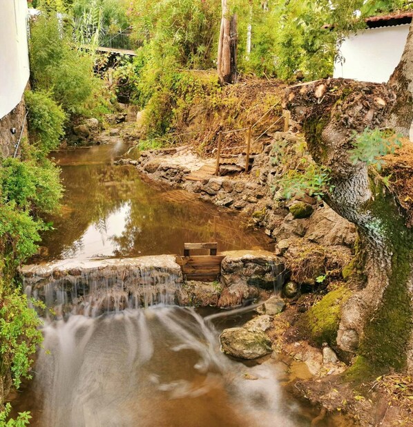 全景套房 | 庭園景