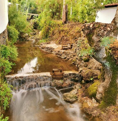 Casalinho da Azenha - Charm House
