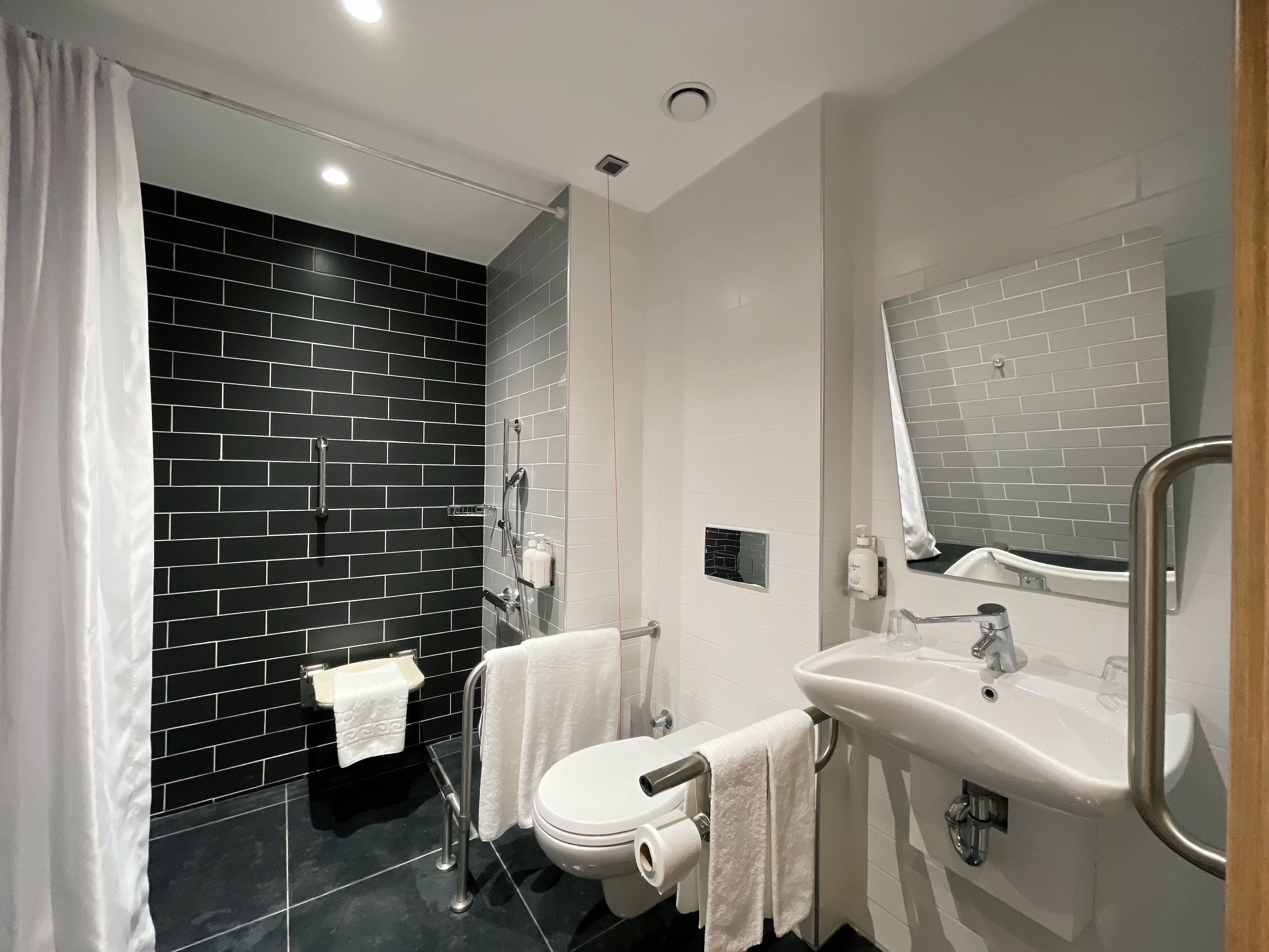 standard room, 1 queen bed, accessible | bathroom | shower, rainfall showerhead, hair dryer, slippers