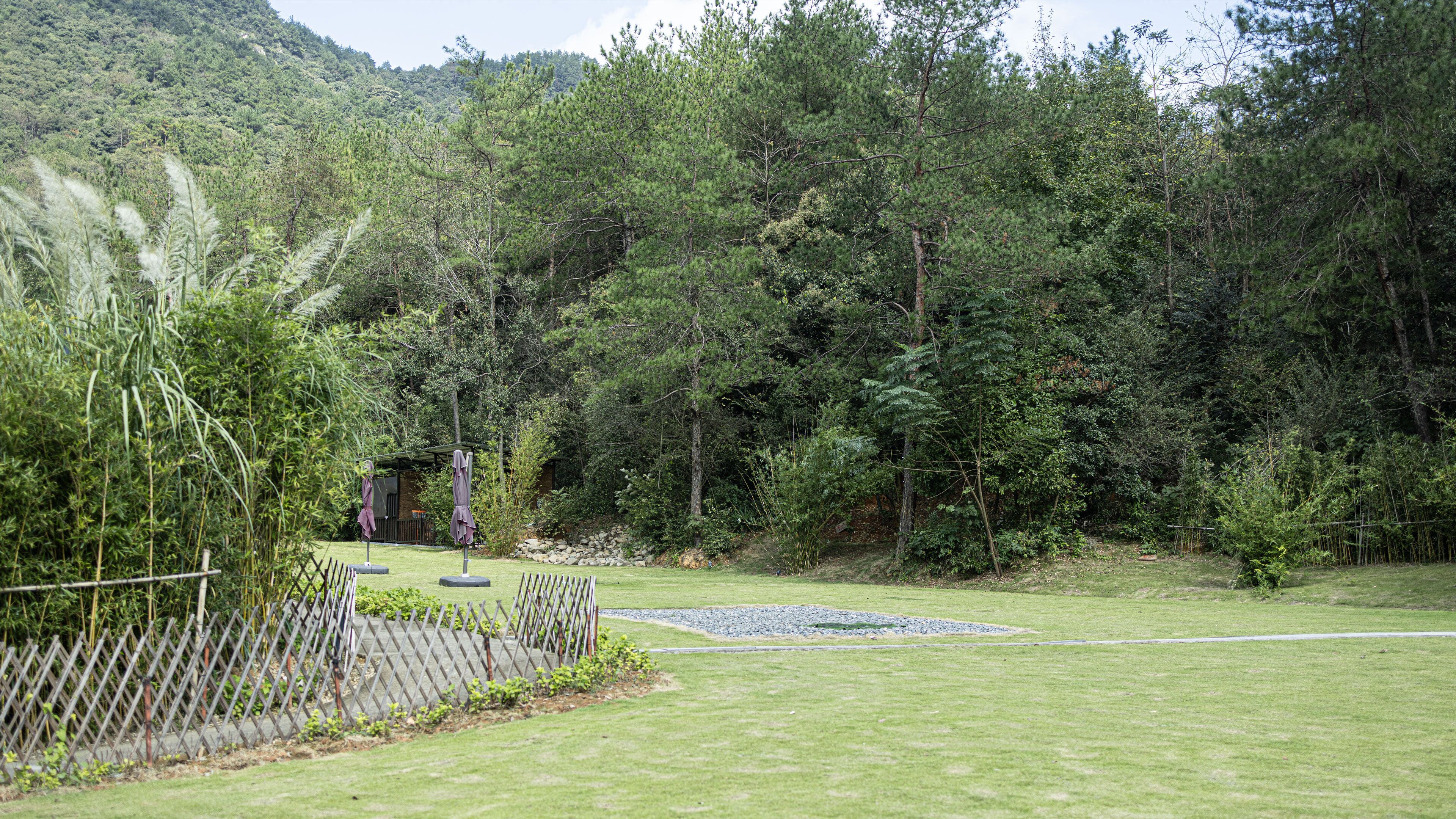Un jardín cuidado con un cerramiento de madera, un pequeño estanque y un bosque denso al fondo.
