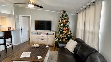 Smart TV, video games, DVD player, video library