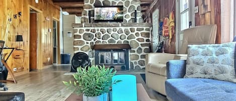 Smart TV, fireplace, books