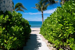 Playa en los alrededores