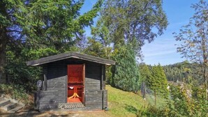 A small wooden cabin with a red interior, surrounded by trees and a clear sky. - Geräumige Wohnung in Altenau mit Terrasse (Altenau)
