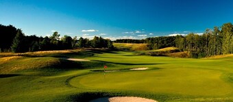 Family Luxury Resort Home (Sking/Golf) Treetops, Otsego, Shanty, Boyne