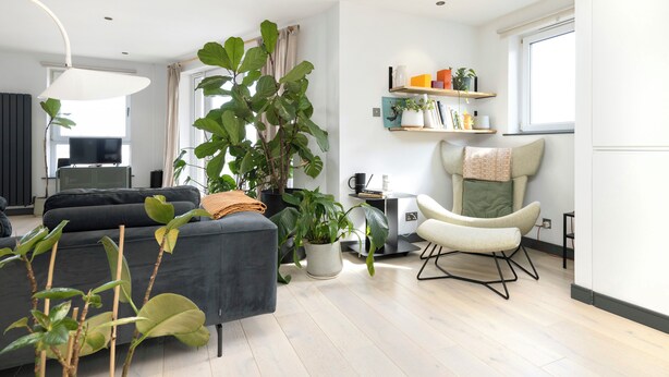 Ett modernt vardagsrum med en soffa, en fåtölj, en stor växt och en bokhylla.