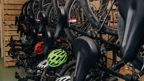 Une rangée de vélos, équipés de casques, dont certains arboraient des logos de marques bien visibles, était garée dans une pièce dont les murs étaient recouverts de lambris en bois.