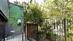 Une entrée fermée par un portail et protégée par une clôture en métal, un mur de briques et une plante verte à feuilles abondantes.