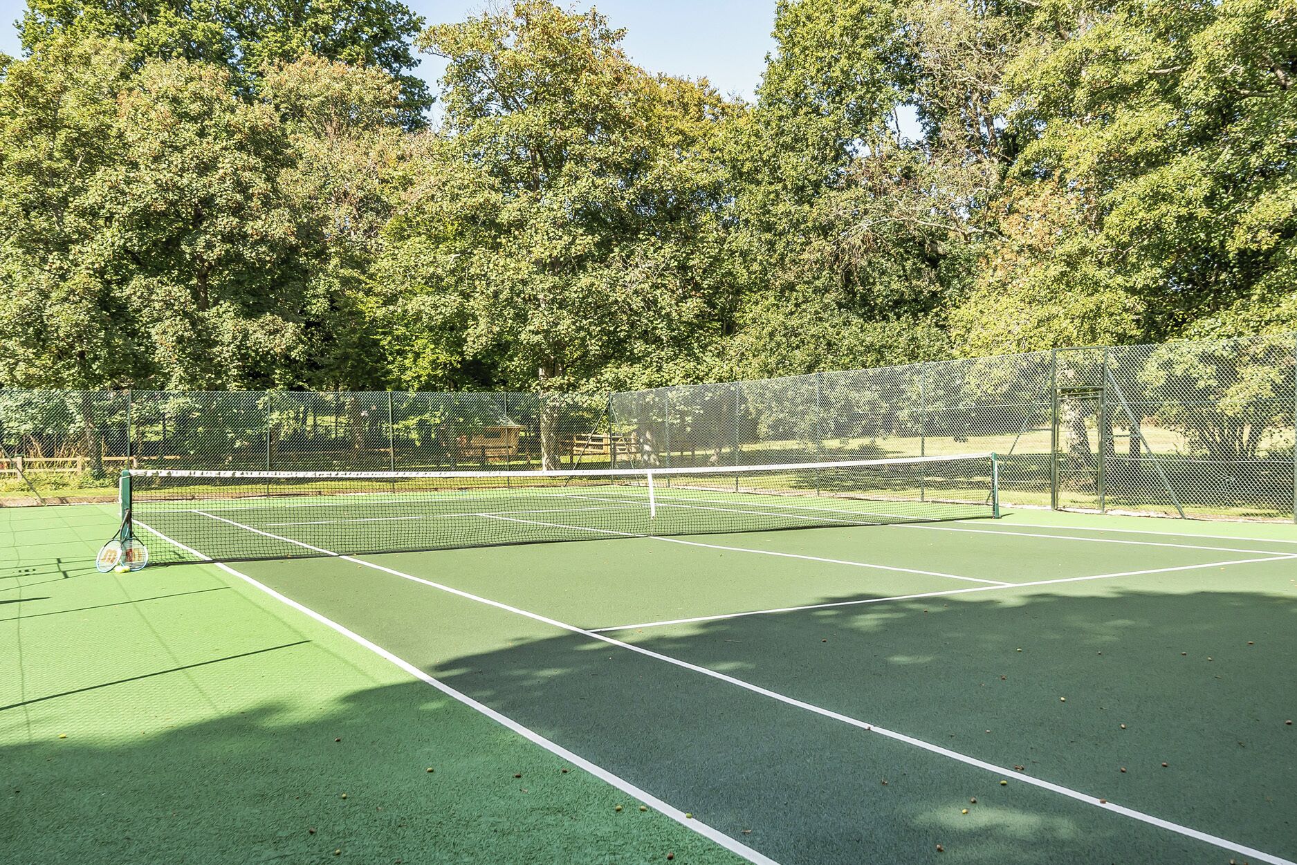 Una cancha de tenis con red, rodeada de árboles.