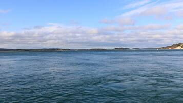 ์ฝํฐ์ง | ํด๋ณ | ๊ทผ์ฒ ํด๋ณ