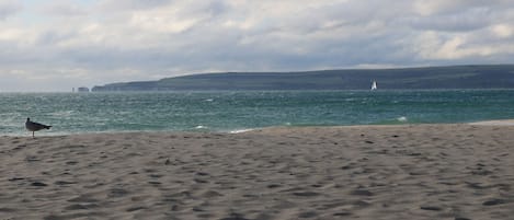 Una playa cerca