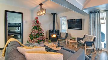 Smart TV, fireplace, books