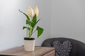 A potted plant with green leaves and white flowers on a wooden table. - JOIVY Charming 4-Bed House Near The Hoe Park (Plymouth)