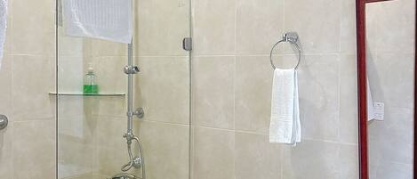 A bathroom with a glass-enclosed shower, a toilet, a sink, and a mirror.