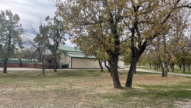 A grassy area with trees and a building with a green roof. - Sturgis Camping Cabin with Futon and Bunkbed (Sturgis)