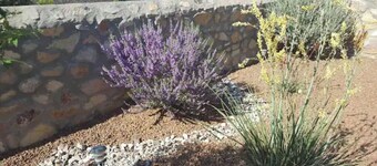 Beauty Charming Transmountain Home w-King Bed By beautiful trails!