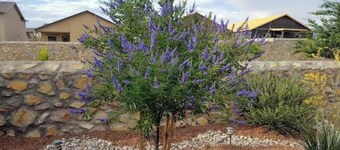 Beauty Charming Transmountain Home w-King Bed By beautiful trails!