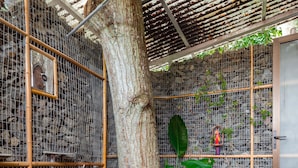 A stone floor, a large tree, and a metal fence. - Terminal Verde (Concepcion)