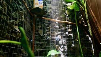 Exclusive Apartment, Non Smoking, Ground Floor | Bathroom | Shower, rainfall showerhead, hair dryer, towels