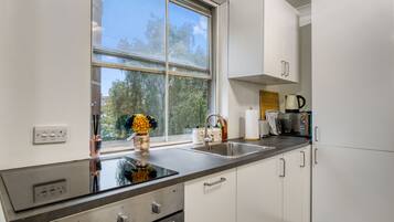 Deluxe Apartment, Private Bathroom (Flat 240) | Private kitchen