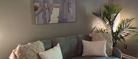 Smart TV, fireplace, books