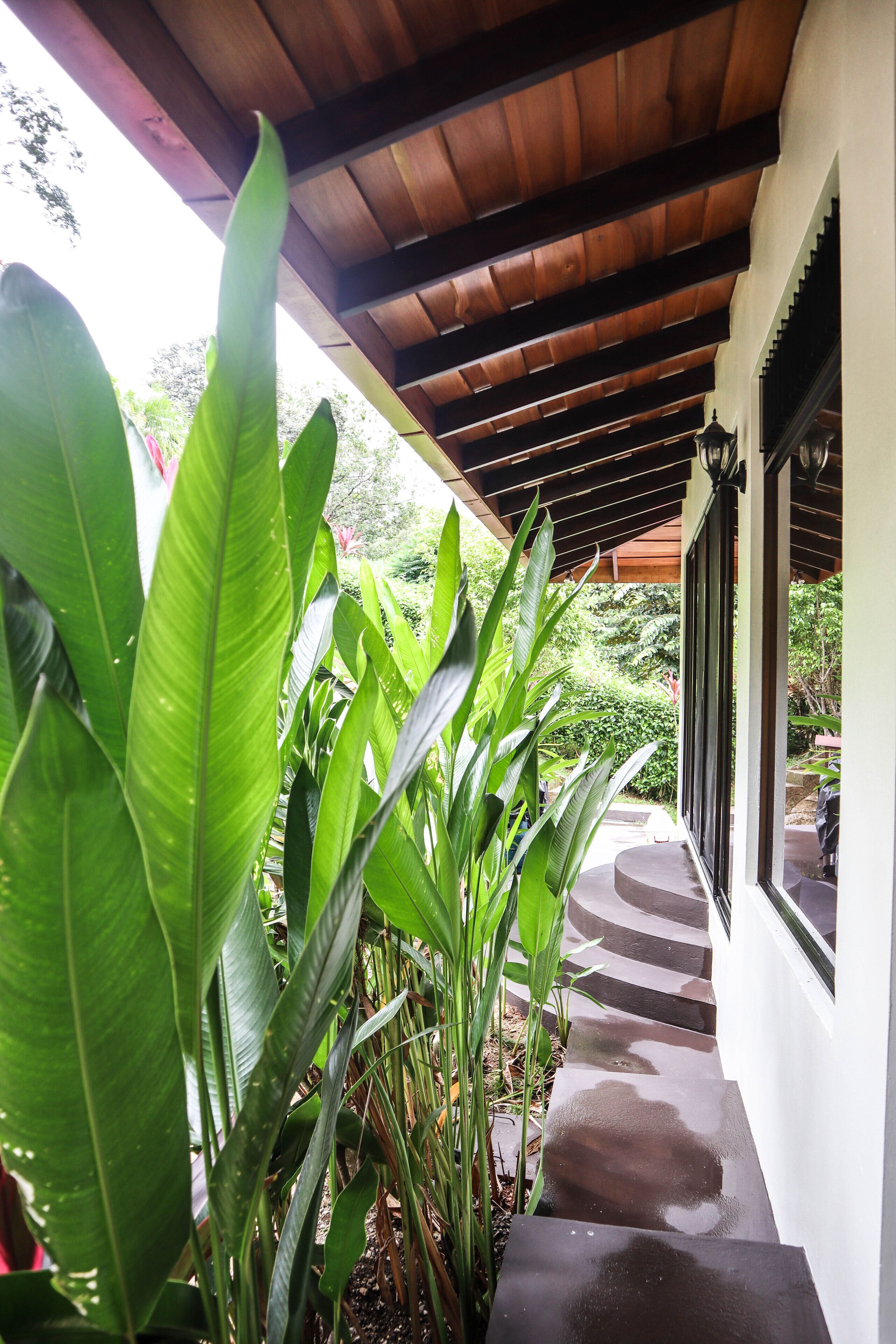A covered outdoor area with a wooden ceiling, a concrete pathway, and lush green plants.
