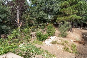Stroll through a serene garden area surrounded by lush trees and shrubs, enclosed by a fence.